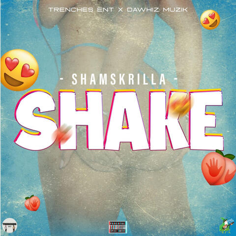 Shake album art