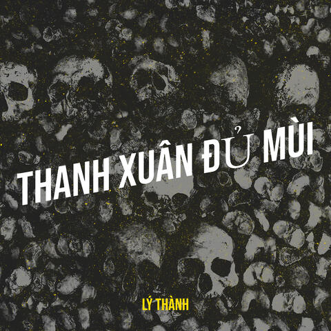 Thanh Xuân Đủ Mùi album art