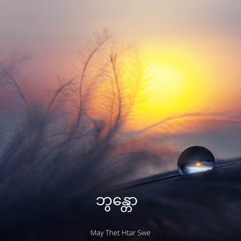 ဘွန္တော album art
