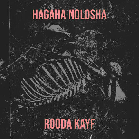 Hagaha Nolosha album art