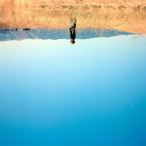 The Middle album art