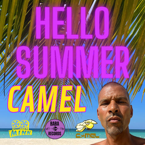 Hello Summer album art