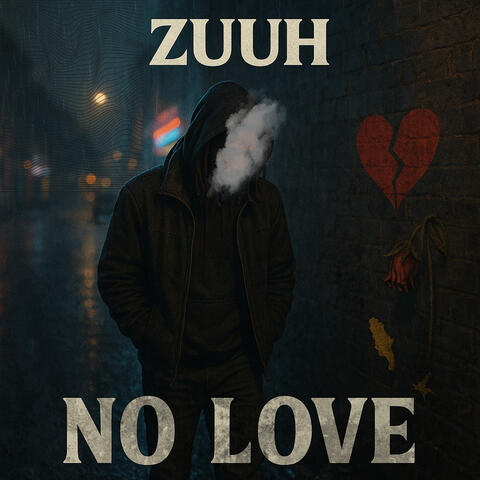 no love album art