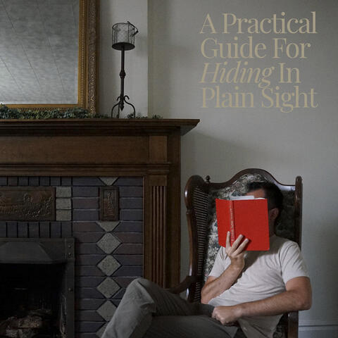 A Practical Guide for Hiding in Plain Sight album art