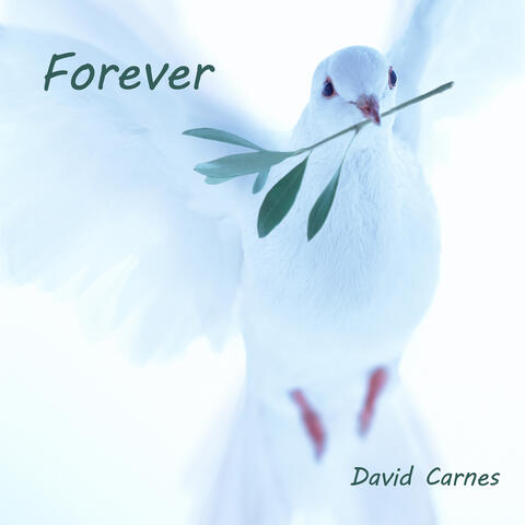 Forever album art