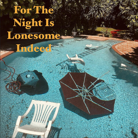 For the Night Is Lonesome Indeed album art