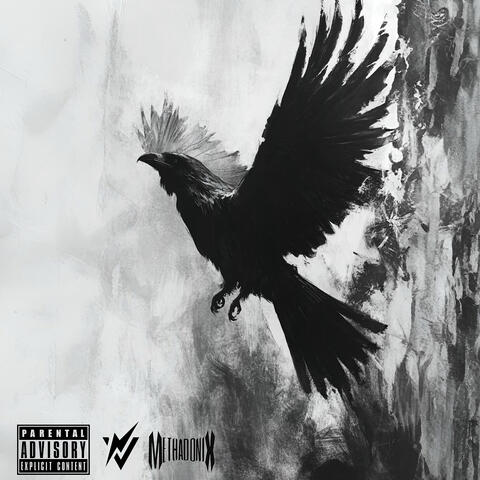 Flako album art