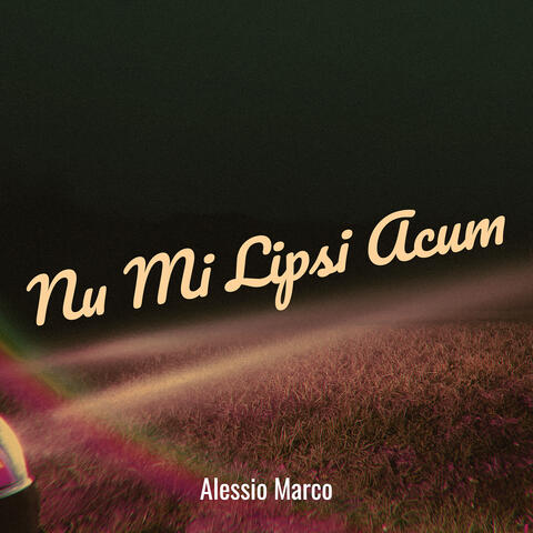 Nu Mi Lipsi Acum album art