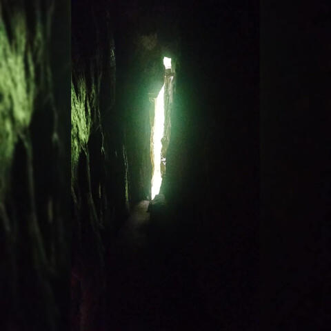 Culta Vulva album art