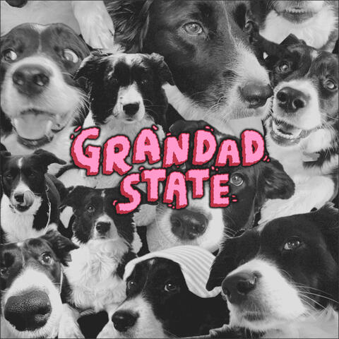 Border Collie album art
