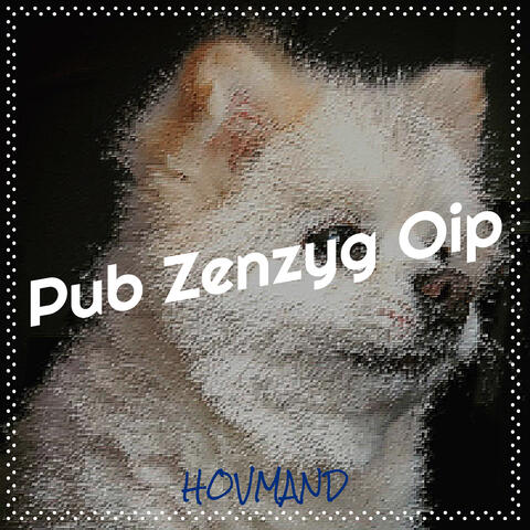 Pub Zenzyg Oip album art
