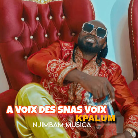 A VOIX DES SNAS VOIX KPALUM album art