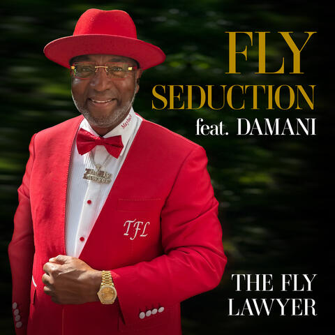 Fly Seduction album art