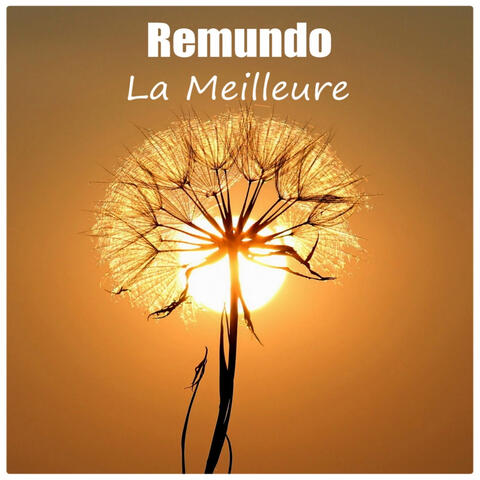 La Meilleure album art
