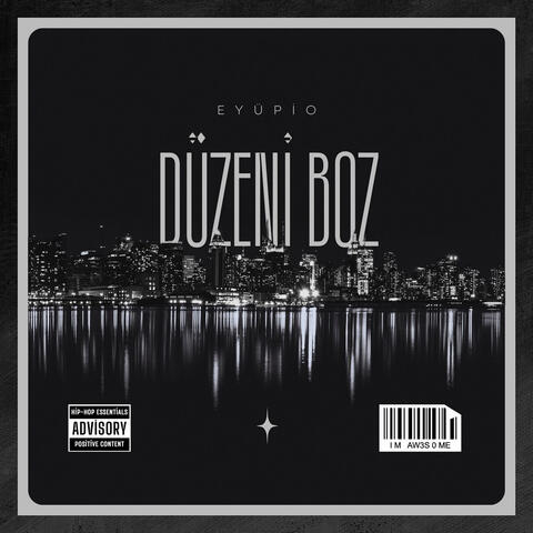 Düzeni Boz album art