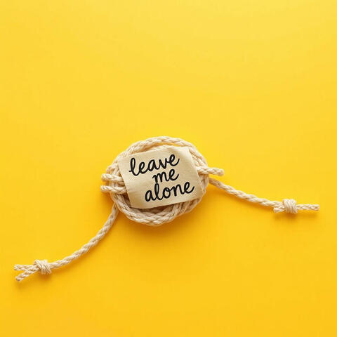 Leave Me Alone album art