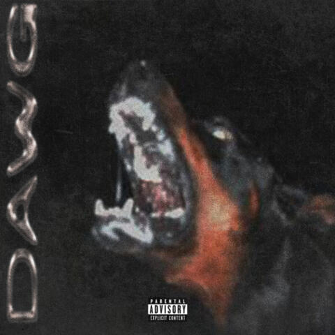 DAWG album art