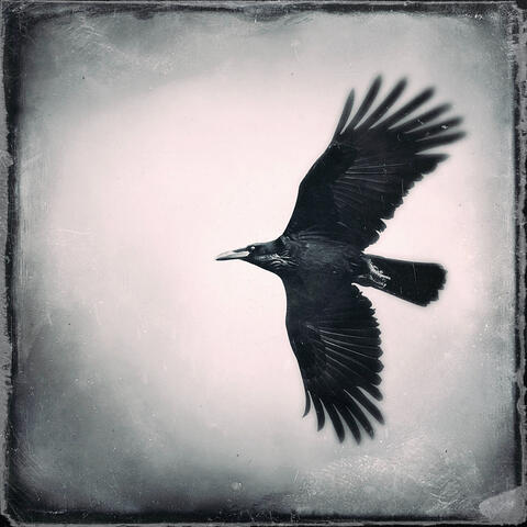 Не думать о смерти! album art