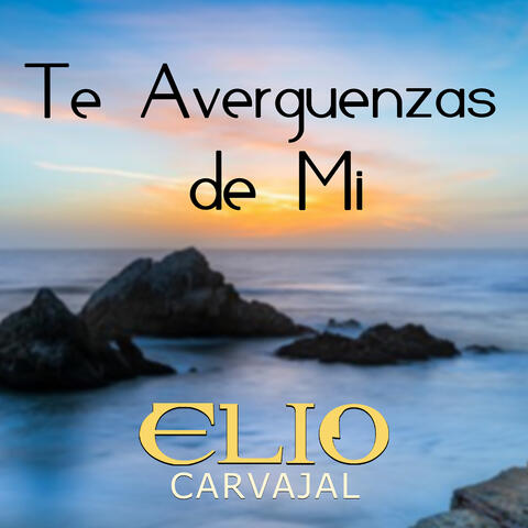 Te Averguenzas De MI album art