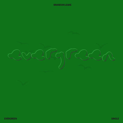Evergreen album art
