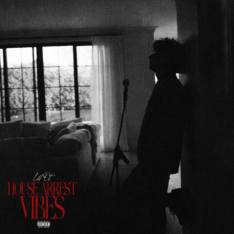 House Arrest Vibes album art