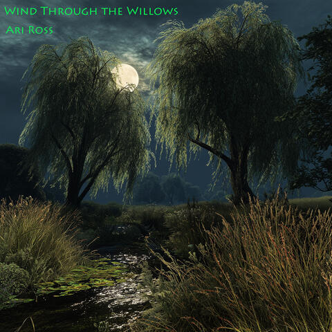 Wind Through the Willows album art