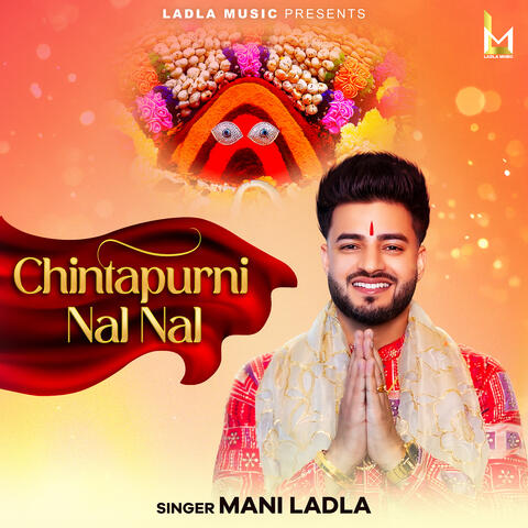 Chintapurni Nal Nal album art
