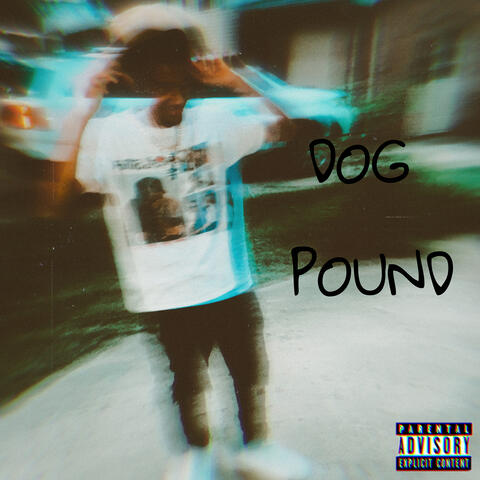 Dog Pound album art