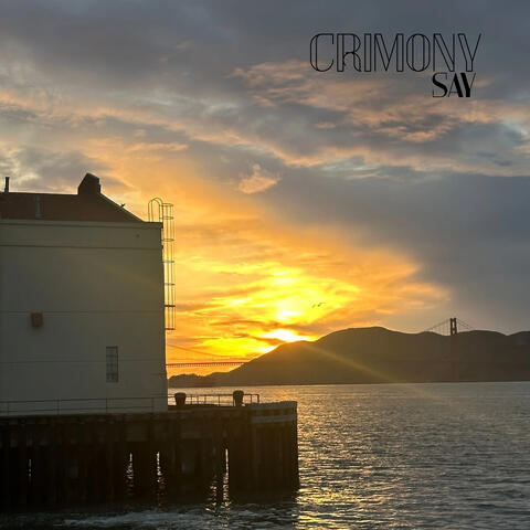 Say album art