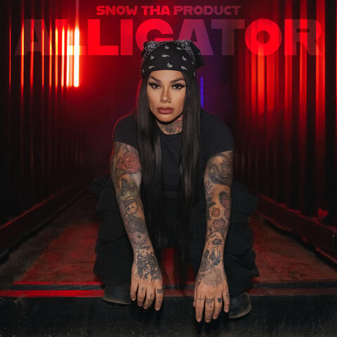 Alligator album art