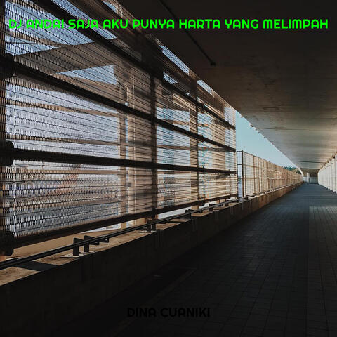 DJ Andai Saja Aku Punya Harta Yang Melimpah album art