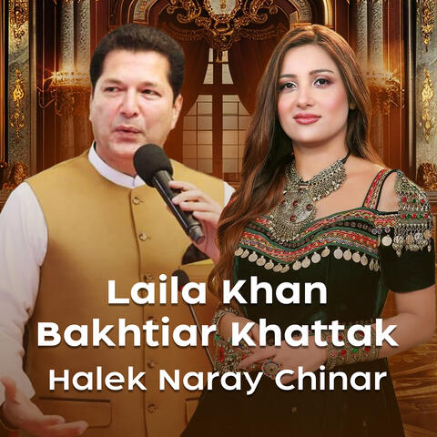 Halek Naray Chinar album art