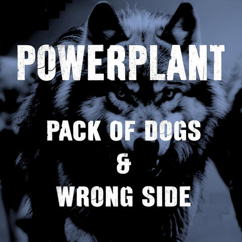 Pack of Dogs and Wrong Side album art