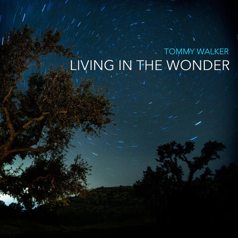 Living in the Wonder album art