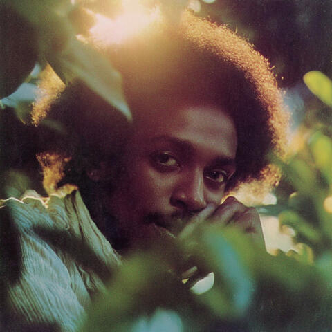 Shitting in a Bush album art