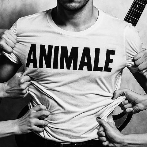 ANIMALE album art