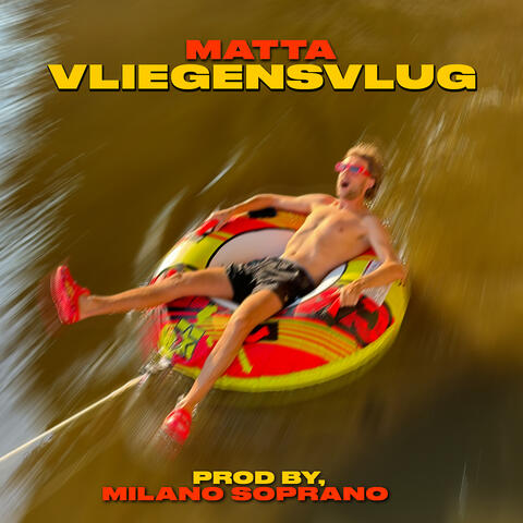 Vliegensvlug album art