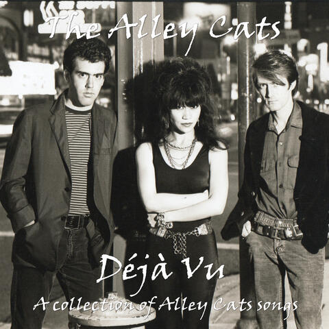 Deja Vu (A Collection of Alley Cats Songs) album art