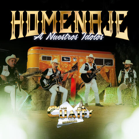Homenaje a Nuestros Idolos album art