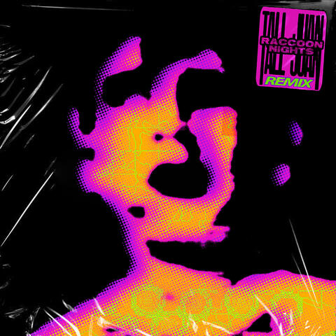 Raccoon Nights (Remix) album art