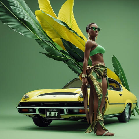 Ignite album art
