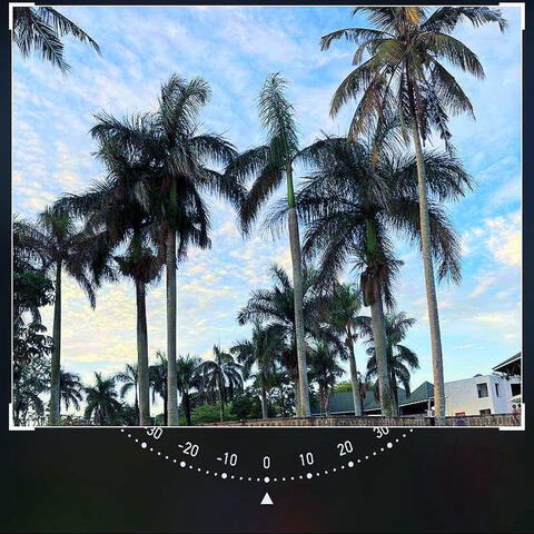 0 album art