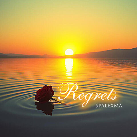 Regrets album art