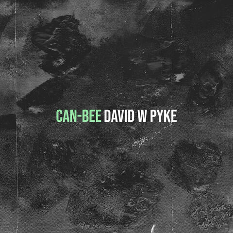 Can-Bee album art