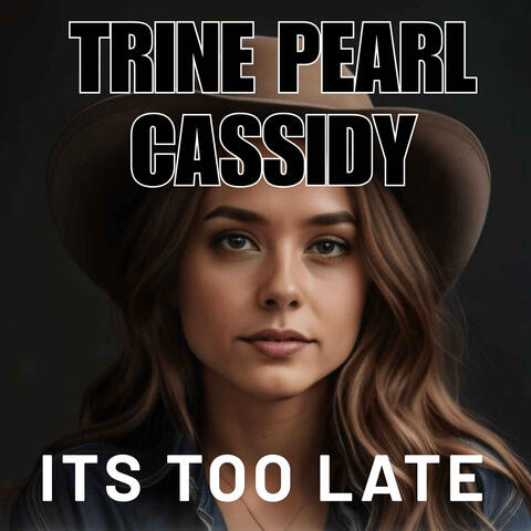 Its Too Late album art