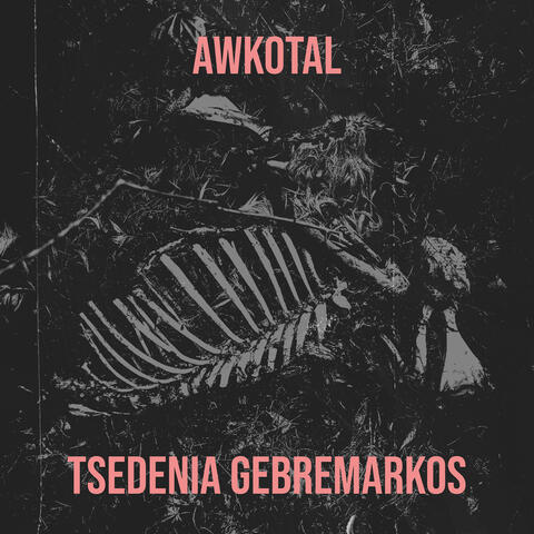 Awkotal album art
