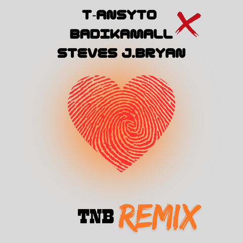 Tnb (Remix) album art