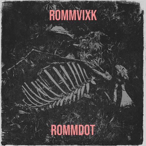 RommVixk album art