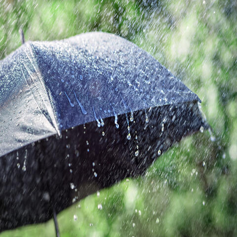 Let It Rain album art