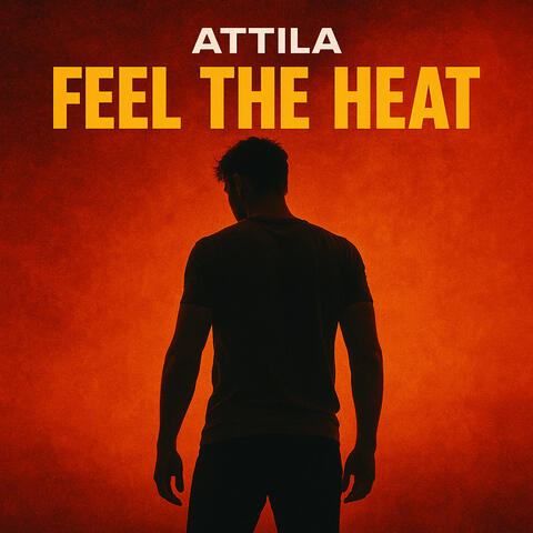 Feel the Heat album art